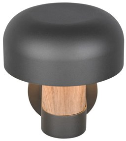 Fali kültéri lámpa (magasság 24,5 cm) Fraser – Trio