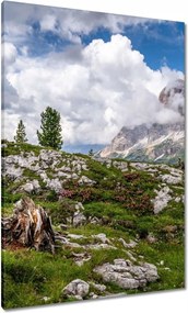 Vászonkép 70x100 Hegyi kilátás Tájkép