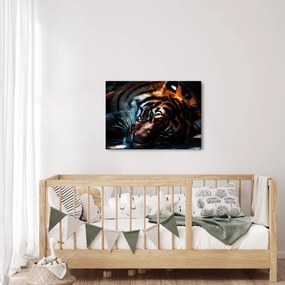 Egy fekvő tigris képe (70x50 cm)