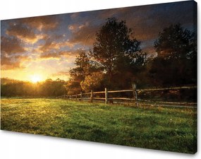Vászonkép Nap Tájkép Falusi fák Rét 70x50 cm