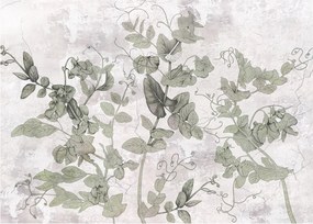 Kép - Növények vakolatban (üvegen) (70x50 cm)