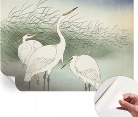 Öntapadós fotótapéta a konyhába Mosható sapkák a fűben 152x104 cm