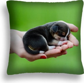 Kutya Párna 10 Db-os Kiskutya Kéz Zöld