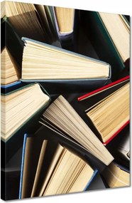 Vászonkép 30x40 Könyvek motívum a nyelvterembe p