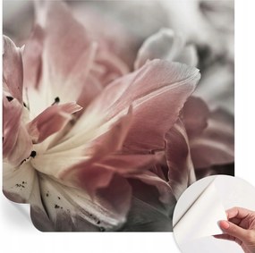 Fotótapéta Fali tapéta Hálószobába és Nappaliba Pasztell virág 250x250 cm