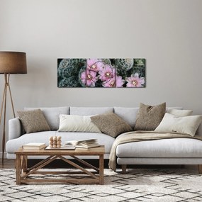 Kaktusz virágának képe (órával) (90x30 cm)