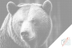 Gario PontPöttyöző Grizzly medve Méret: 40 x 60 cm, Keretezés: Keret nélkül (csak a vászon), Pontok színe: Fekete