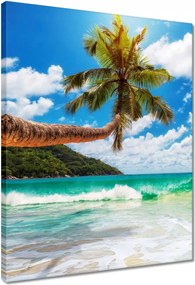 Vászonkép 40x50 Paradicsomi tengerpart pálmafákkal