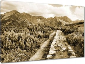 Képek 120x80 Tátra Lengyel hegyek Kilátás