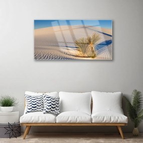 Üvegfotó Fekvő sivatagi homok 120x60cm