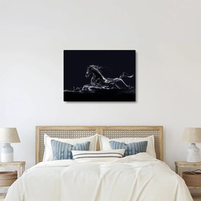 Kép - Ló és a víz (70x50 cm)