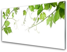 Modern üvegkép Ágak levelek Nature Flowers 100x50 cm