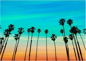 Kép - Kalifornia (70x50 cm)