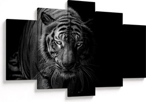 Egy vadtigris képe (150x105 cm)