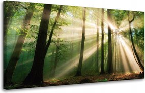 Vászonkép Nap az erdőben Fák Természet 80x40 cm Ajándéknak is tökéletes