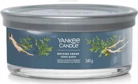 Bayside Cedar Yankee Candle tumbler, 5 kanócos