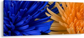 Részletes virágkép (120x50 cm)