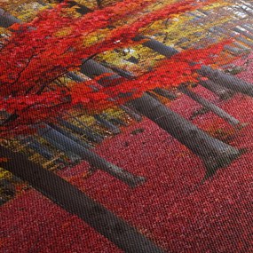 Kép - vörös erdő (150x105 cm)