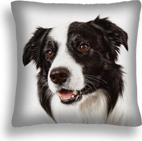 Nagy 50x50 Kutya Párna 12 Border Colie gyártó