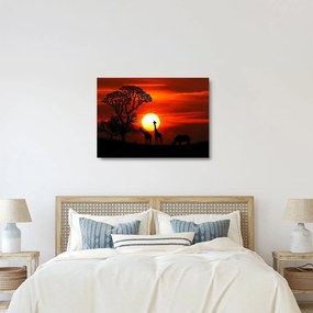 Kép - Állatok sziluettjei napnyugtakor (üvegen) (70x50 cm)