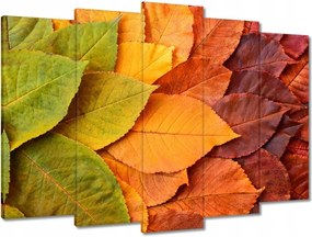 Vászonkép 70x50 Őszi színes levelek Levelek az ősz színeiben