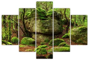 Egy varázslatos erdő képe (150x105 cm)