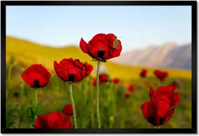 Poszter keretben 60x40 Piros pipacs Virágok Hegyek