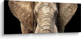 Kép - Afrikai elefánt (órával) (90x30 cm)