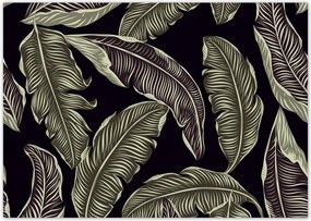 Poszterek A4 Szint Trópusi levelek Levelek