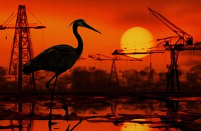 Poszter 86,4x56,8cm Alkonyat Ipari Daru