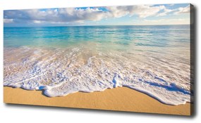 Vászon nyomtatás Hawaii beach oc-98746021