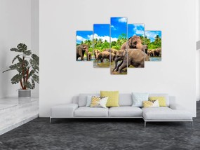 Kép - Elefántok, Sri Lanka (150x105 cm)