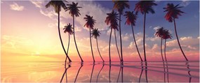 A felszín fölé emelkedő pálmafák képe (120x50 cm)