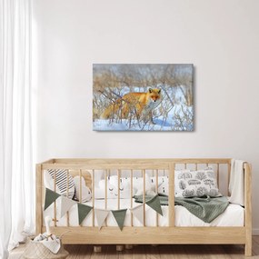 Kép - Róka (90x60 cm)