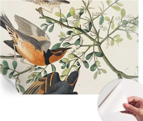 Öntapadós tapéta Divatos 3D fali ragasztóval Színes madarak 152x104 cm