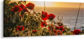 Naplemente és a pipacsok képe (120x50 cm)