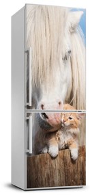 Hűtő matrica Fehér ló egy macska FridgeStick-70x190-f-119704744