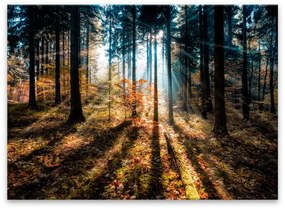 Glasspik Autumn Sunset kép, 70 x 100 cm - Styler