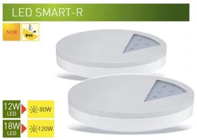 LED Mennyezeti lámpa LED/18W/230V