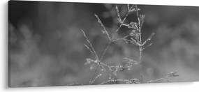 Kép - Vidéki rét (120x50 cm)