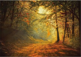 Stílusos Dekoratív Fotótapéta Flizelin Őszi tájkép 208x146 Ragasztó