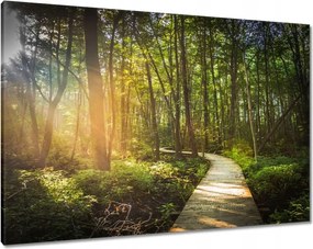 Vászonkép 100x70 Napsugár a sétán