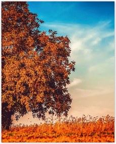 Poszterek 40x50 Jessiene színek Tájkép