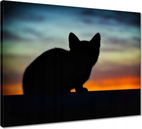 Vászonkép 50x40 Búvó cica