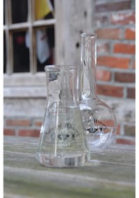 Üveg váza (magasság 23 cm) Natural History – Esschert Design