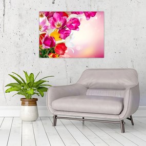 Tulipán képe (70x50 cm)