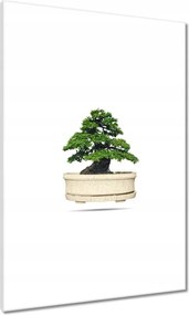 Vászonkép 70x100 Bonsai fa