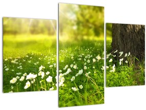 Tisztás és a virágok képe (90x60 cm)