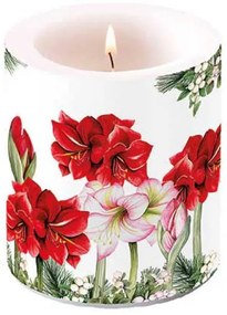 Átvilágítós gyertya 10x10 cm Karácsonyi Amarillisz