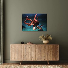 Kép - Octopus (70x50 cm)